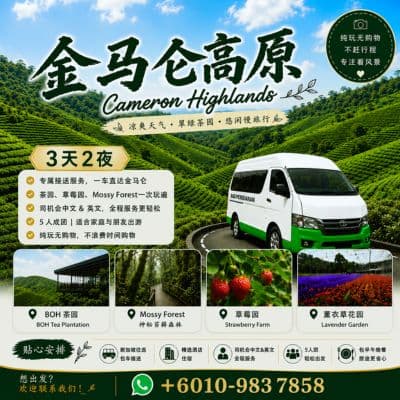 Cameron Highlands Happy Travel 3d2n